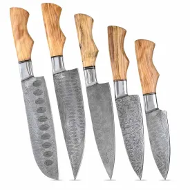 Damascus Kitchen Knife Set of 5 with Olive-Wood & Brass Handles KST1603BNE