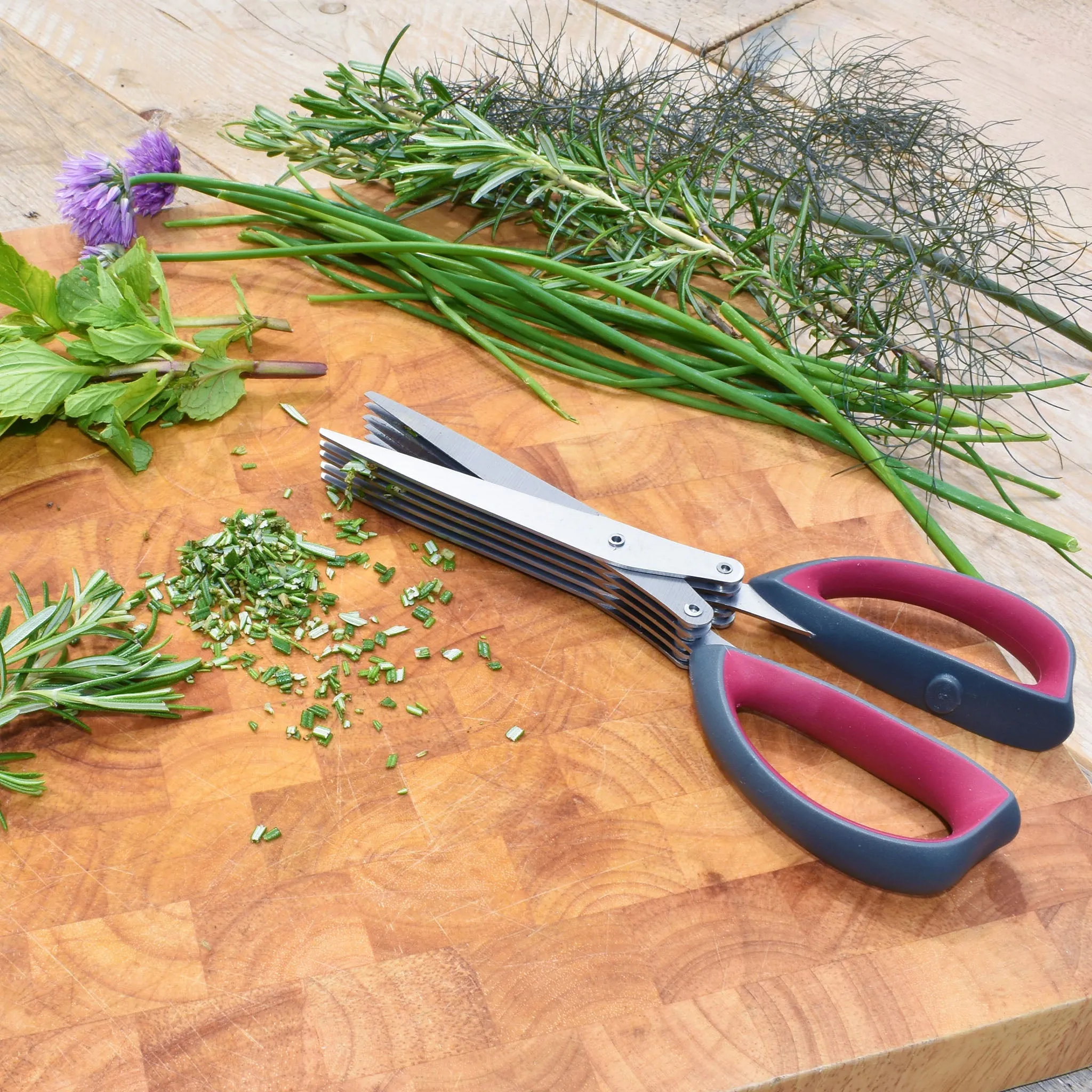 Kent & Stowe Multi-Blade Herb Scissors