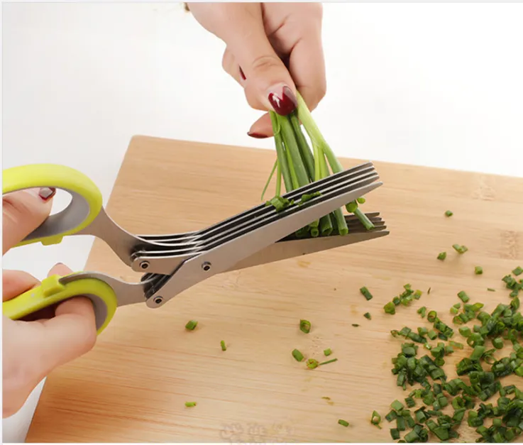 Stainless Steel Multi-Function Five-layer Chopped Scissors - Kitchen